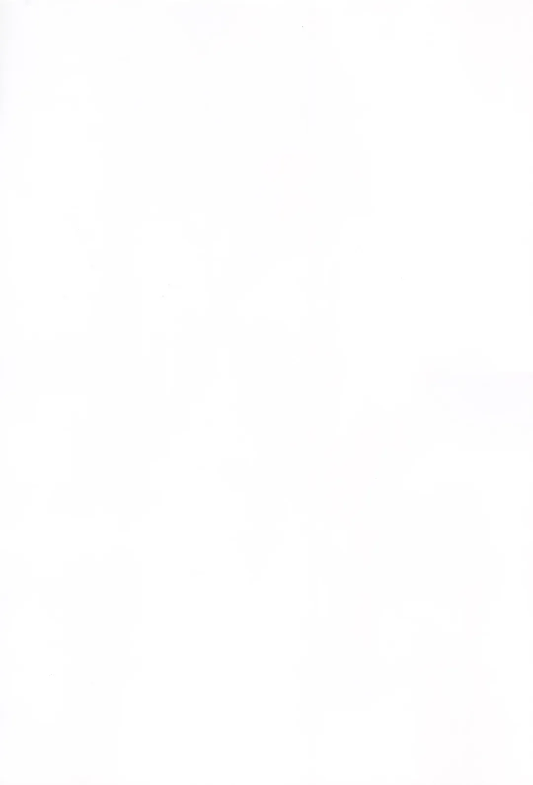 [Hisona] Fusego, Usuakari Fhentai - Page 3