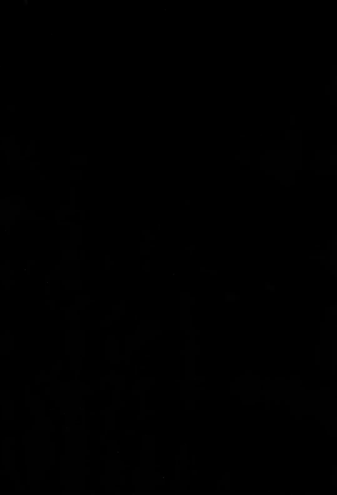 [Hisona] Fusego, Usuakari Fhentai - Page 4