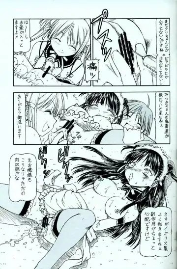 [Itoyoko] Kore ga Kichiku na Goshujinsama 4 Fhentai - Page 14