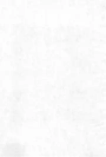 [Nyanko Mic] Pom Pom Popuri Fhentai - Page 3