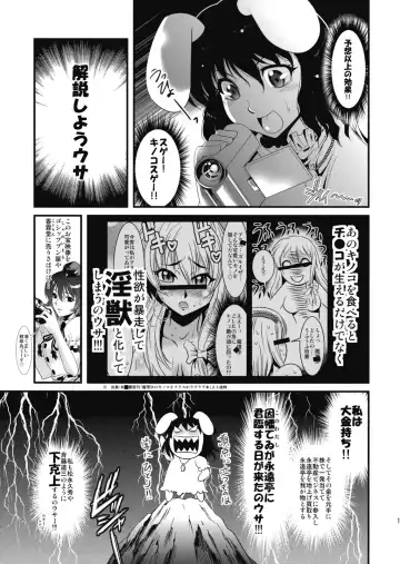 [Musashino Sekai] Eirin no Kinoko o Kaguya to Udonge ga Love Love Bon Fhentai - Page 13