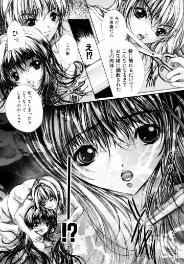 [Araki Kyouya] Haitoku no Scenario Fhentai - Page 147