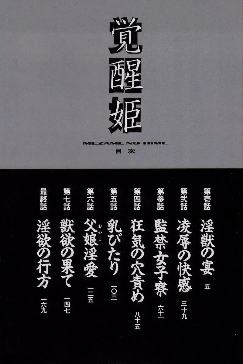 [Araki Kyouya] Mezame no Hime Fhentai - Page 8