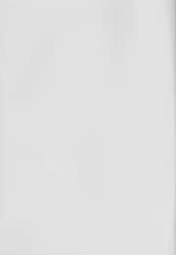 [Bekkou Megane Buchiko] Yozora no Hoshi no Manten no Shita Fhentai - Page 2