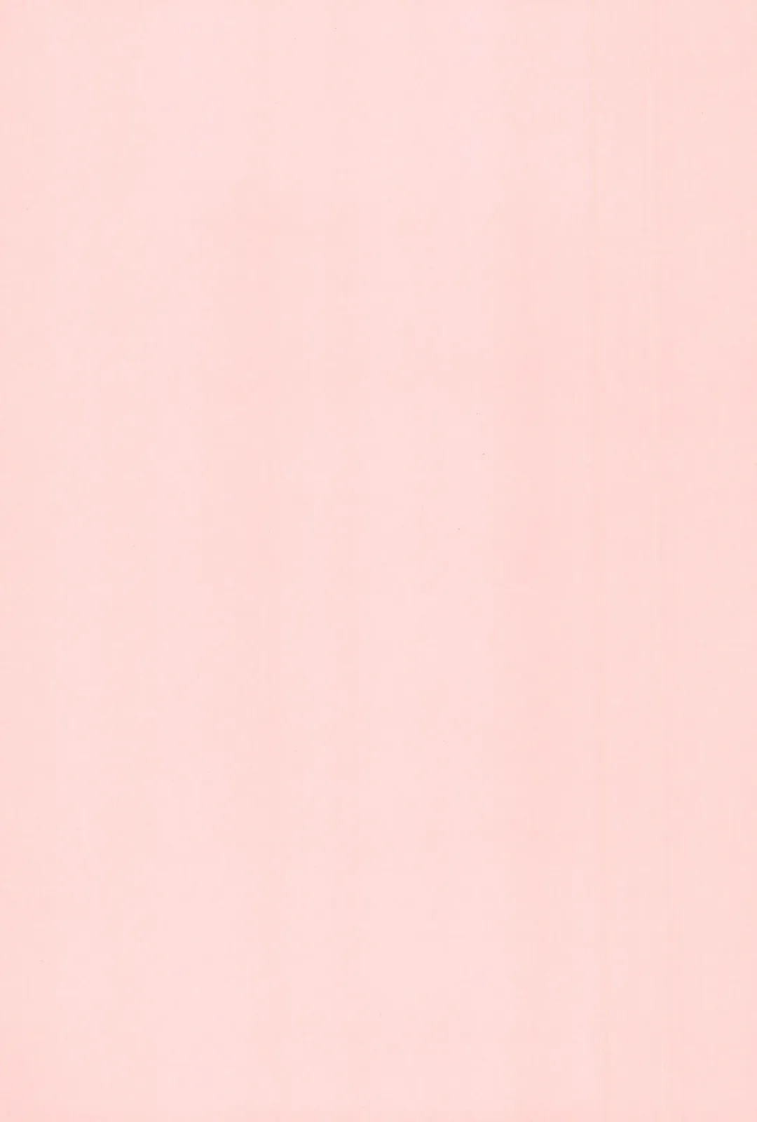 [Kicchirinko] Kimi wo Shiru Tabi Fhentai - Page 3