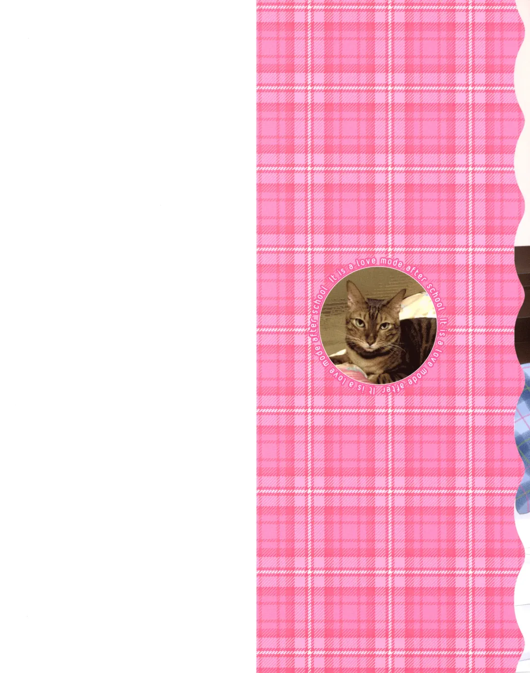 [Ozaki Miray] Houkago Love Mode - It is a love mode after school Fhentai - Page 4