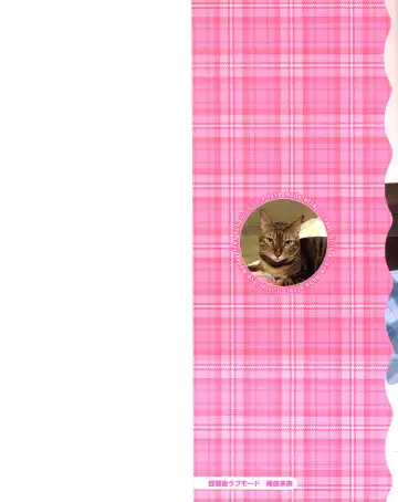 [Ozaki Miray] Houkago Love Mode - It is a love mode after school Fhentai - Page 229