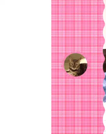 [Ozaki Miray] Houkago Love Mode - It is a love mode after school Fhentai - Page 4