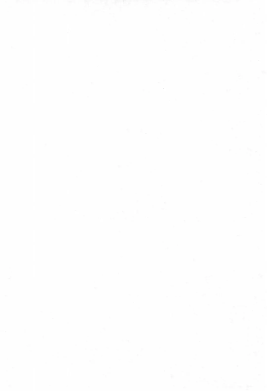 [Chouchin Ankou] Aniero Mix. 002 ~PPG2 only edition~ Fhentai - Page 4