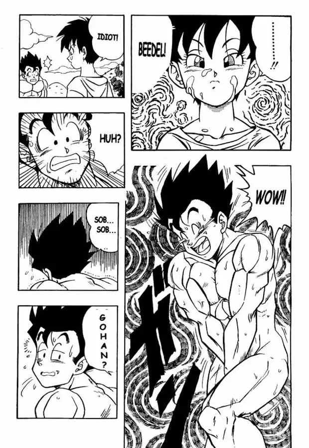 [Garland] Dragon Ball H 03 Fhentai - Page 14