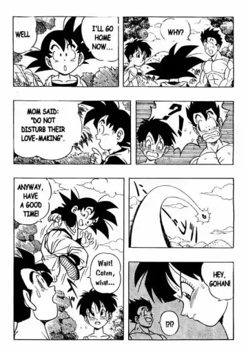 [Garland] Dragon Ball H 03 Fhentai - Page 9