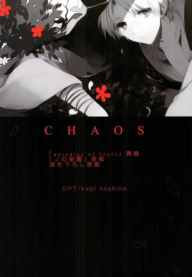 [Hoshino Kabi] Chaos Fhentai - Page 45