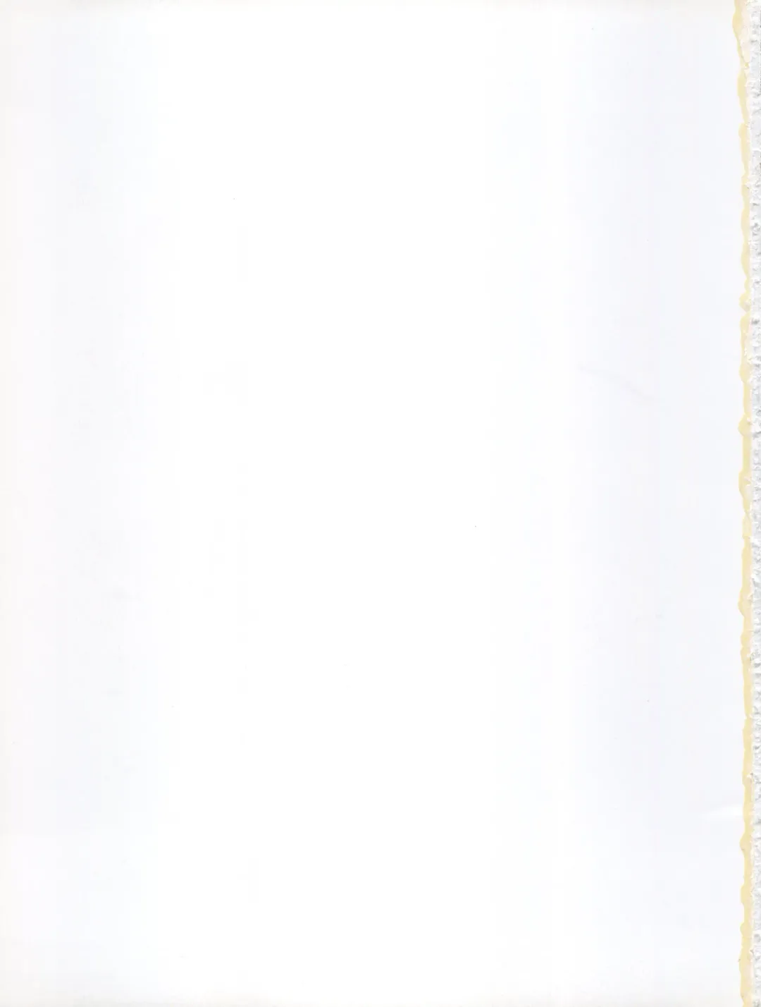 [Genka Ichien] Senrihin Fhentai - Page 27