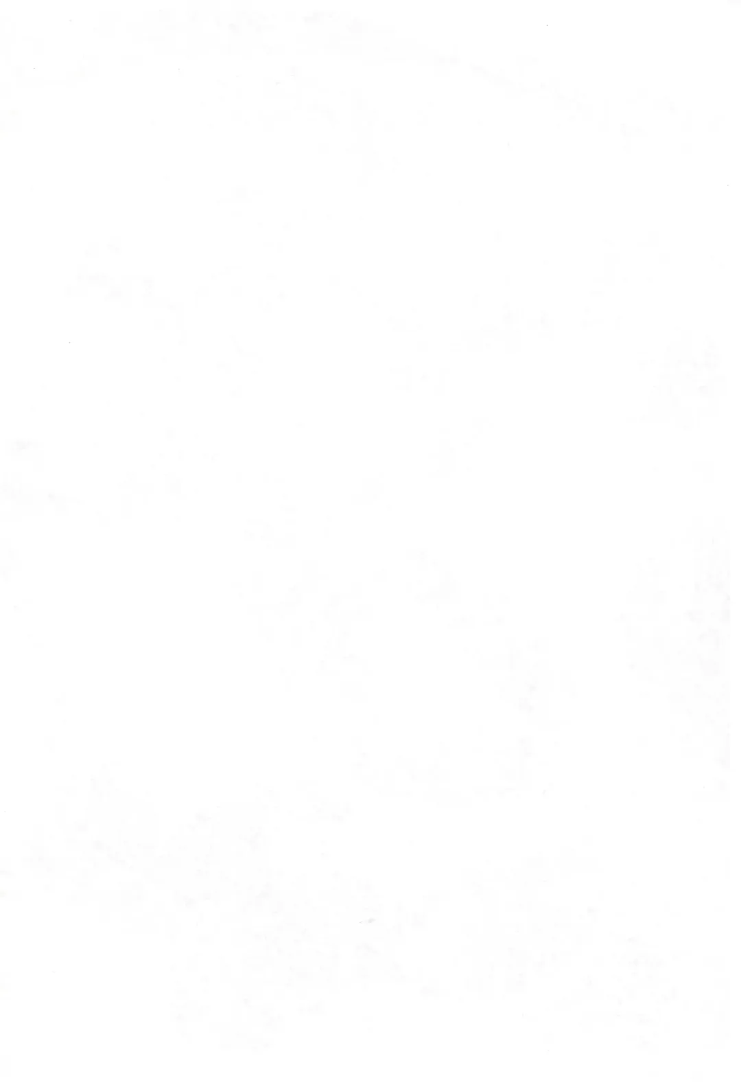 [Serizawa Yuuji] Mahoujin Nuru-nuru Fhentai - Page 2