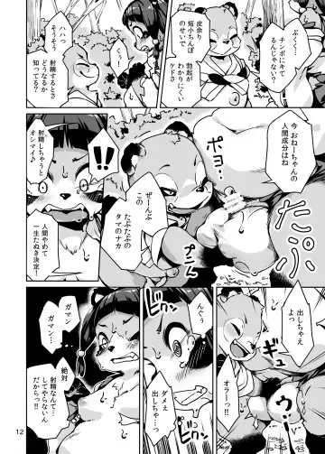 [Hansharu - Oseron] Taima Miko Rinka Tanuki Hen Fhentai - Page 12