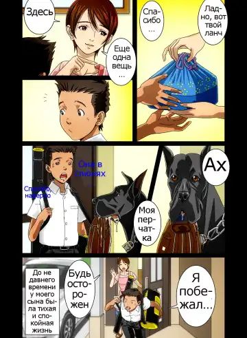 "Wonderful Life" ~Shufu to "Aiken" no Hisoyaka na Gogo~ Fhentai - Page 10