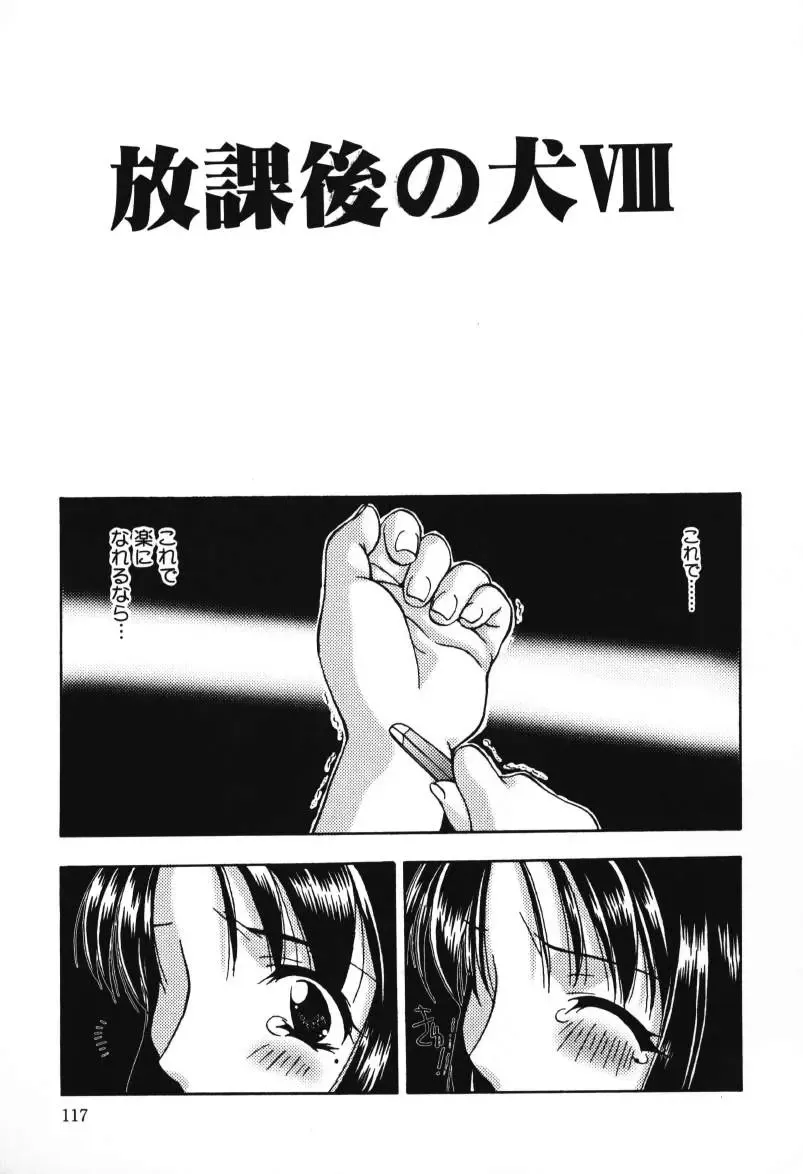 [Sou Akiko] Houkago no Inu Fhentai - Page 117