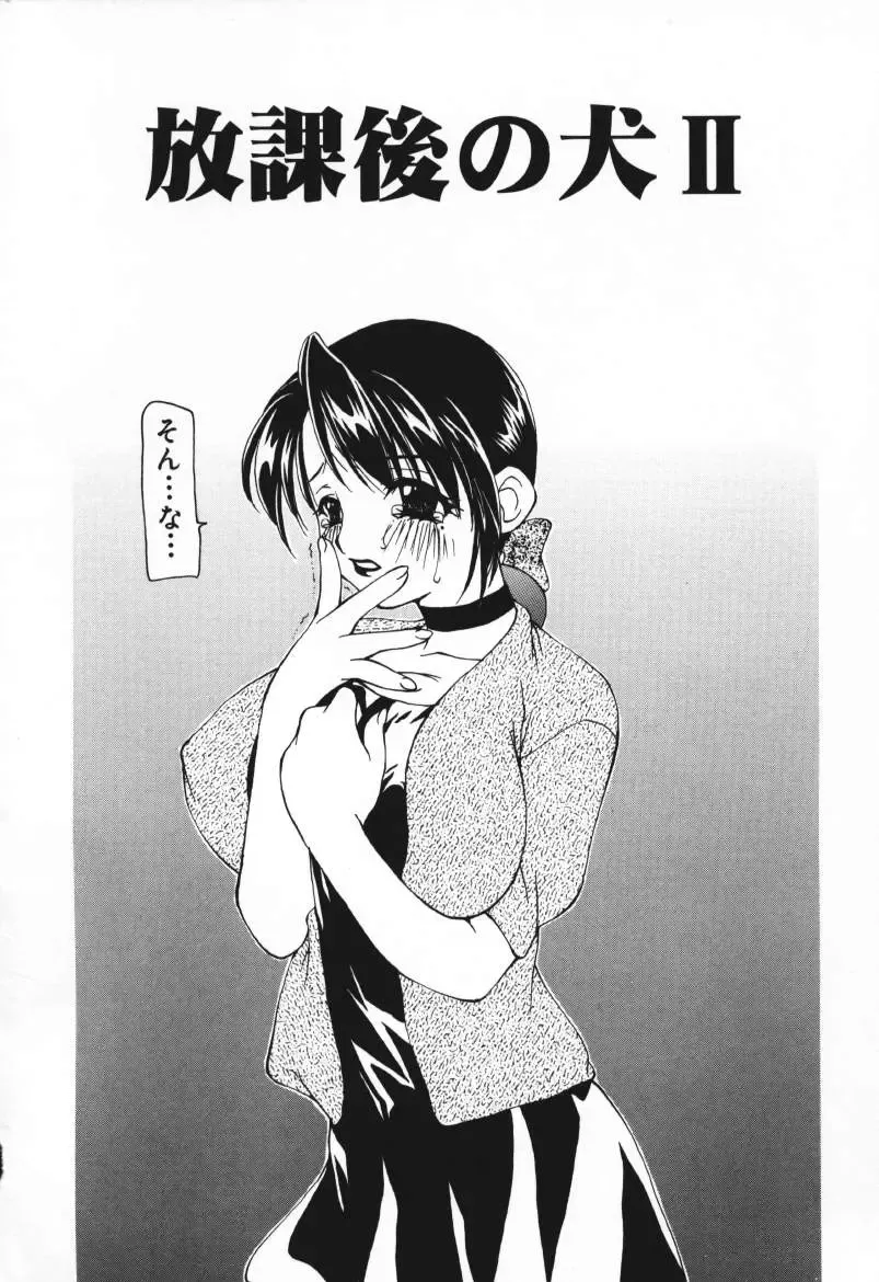 [Sou Akiko] Houkago no Inu Fhentai - Page 22