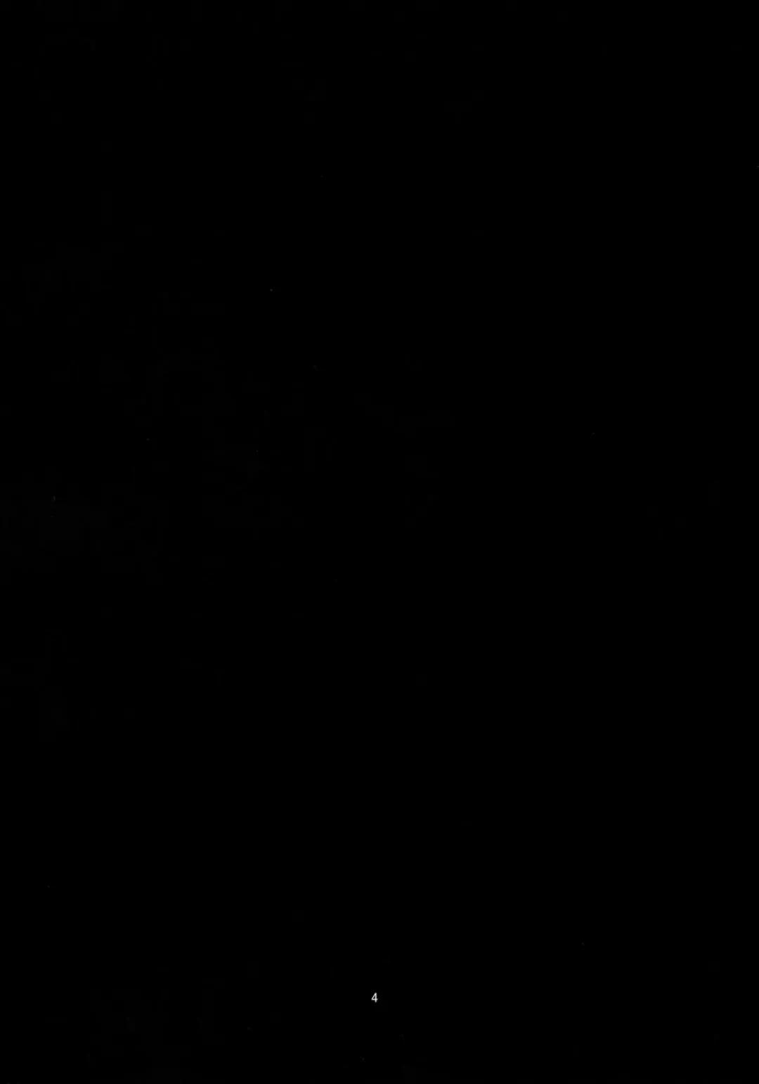 [Obyaa] Scarlet Hearts Fhentai - Page 4