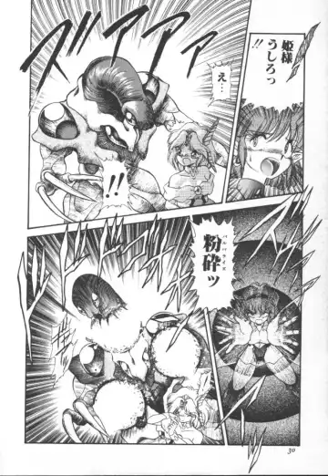 [Mugendai] Panic Princess 2 Fhentai - Page 30