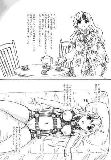 [Sumomo Ex] Nikukai Fhentai - Page 4