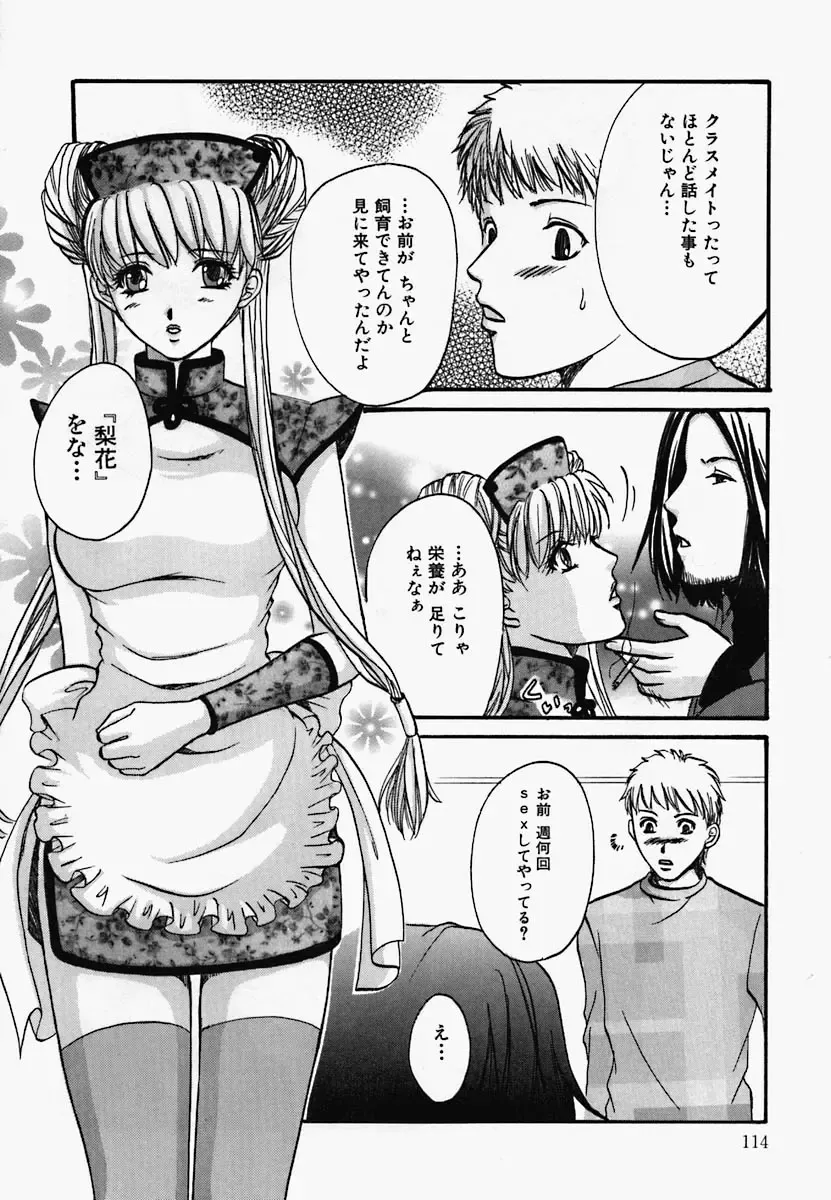 China Shirudrome Fhentai - Page 117