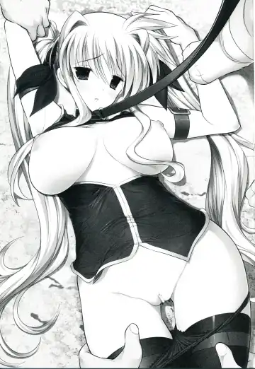 [Raidon] New Fate-chan. Goukan Hen Fhentai - Page 2