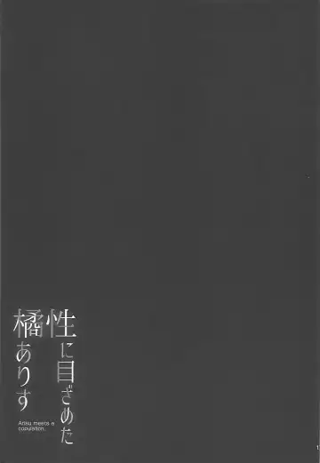 [Shirota Dai] Sei ni Mezameta Tachibana Arisu - Arisu meets a copulation. Fhentai - Page 17