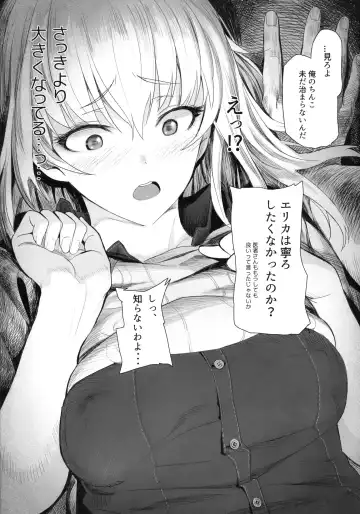 [Hankotsu Max] ERIKA Fhentai - Page 19
