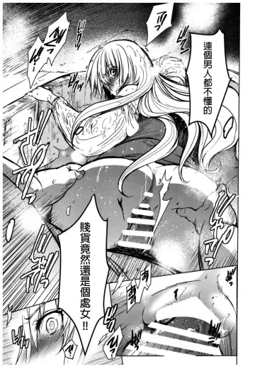 [Heizo - Kitoen] Saint Foire Festival 11 Aline Fhentai - Page 13