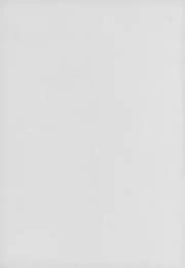 [Puripuri Kikou Shidan] Imon no Shiraki Majo Fhentai - Page 2