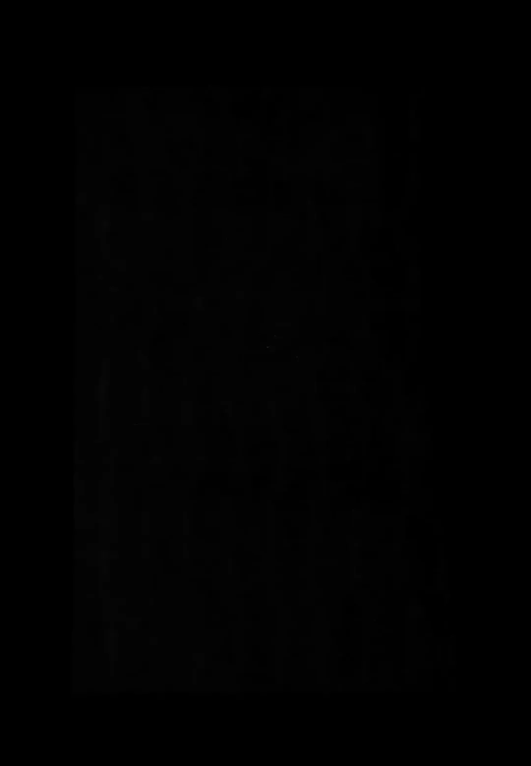 [Toribami Sasami] Nitamono Doushi Fhentai - Page 21