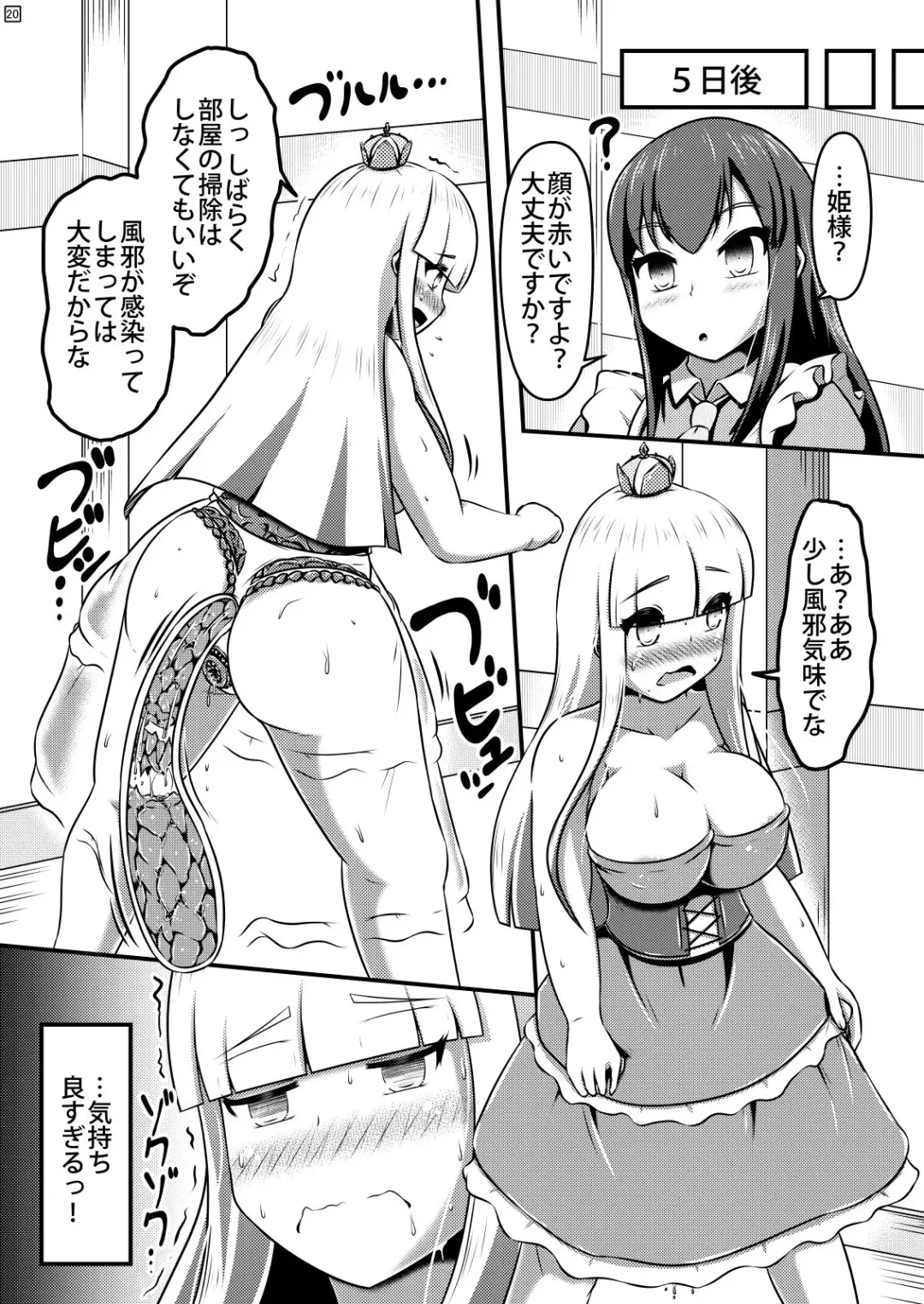 [Shinoda Kazuhiro] Sodatsu Teisoutai o Haita Ohime-sama no Haisetsu Jijou Fhentai - Page 21