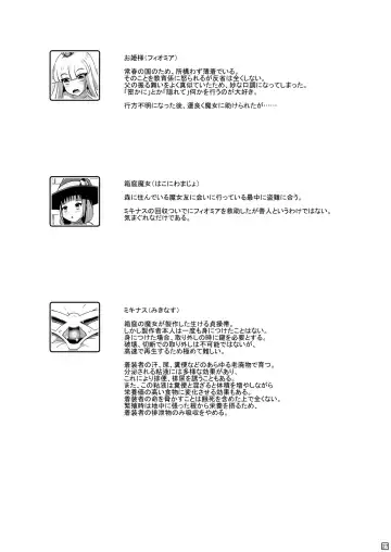 [Shinoda Kazuhiro] Sodatsu Teisoutai o Haita Ohime-sama no Haisetsu Jijou Fhentai - Page 28