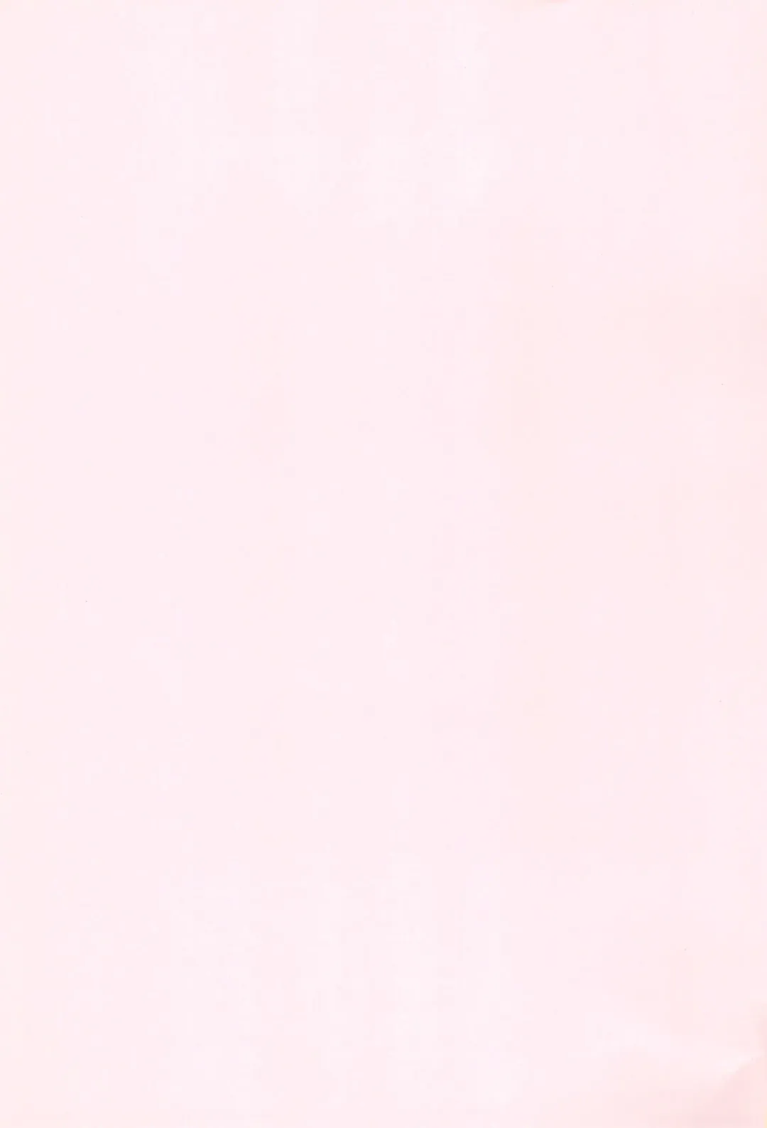 [Wancho] Wancho-ke Note CT19 Fhentai - Page 3