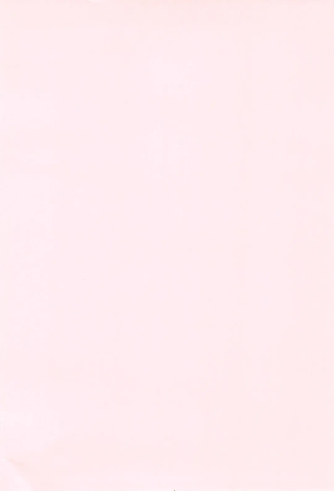 [Wancho] Wancho-ke Note CT19 Fhentai - Page 4