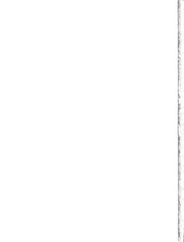 [Shibusawa Hayato] Daisy Lights Fhentai - Page 27