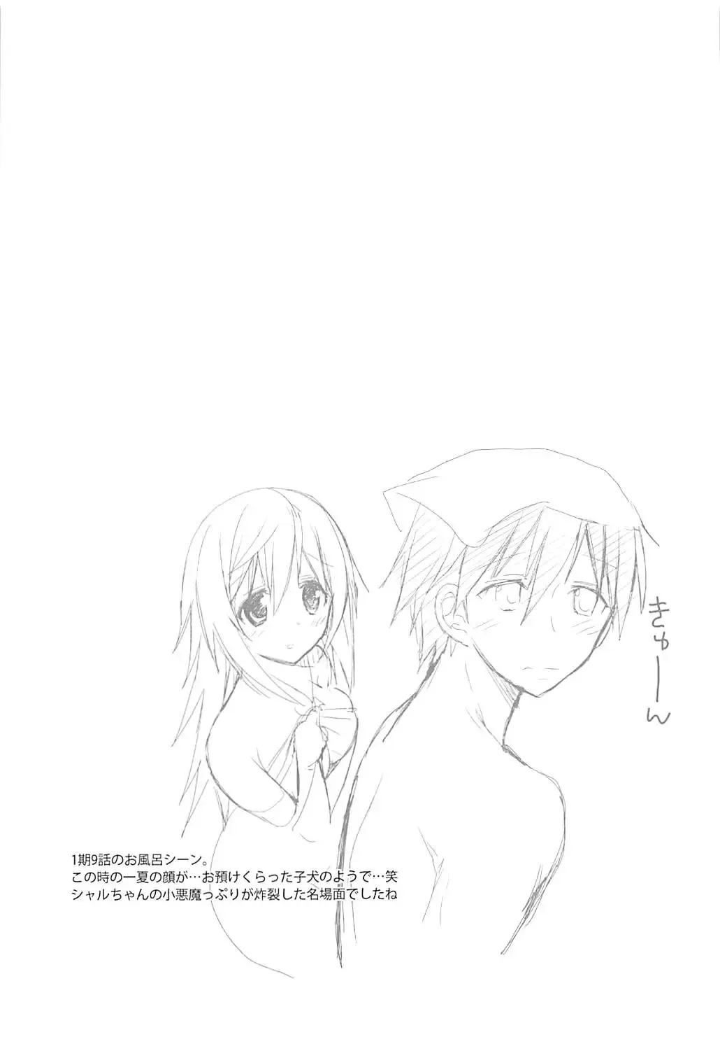 [Hitsuji Takako] IS Soushuuhen Fhentai - Page 159