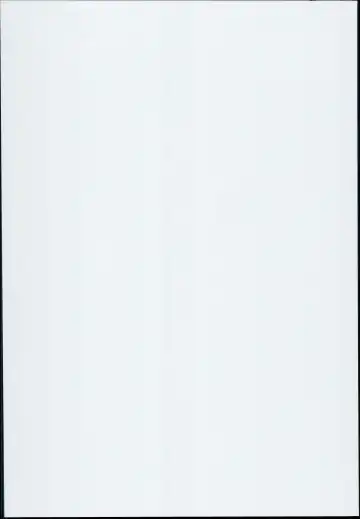 [Michiking] Ohyakudo Jouzu no Sanae-san Fhentai - Page 30