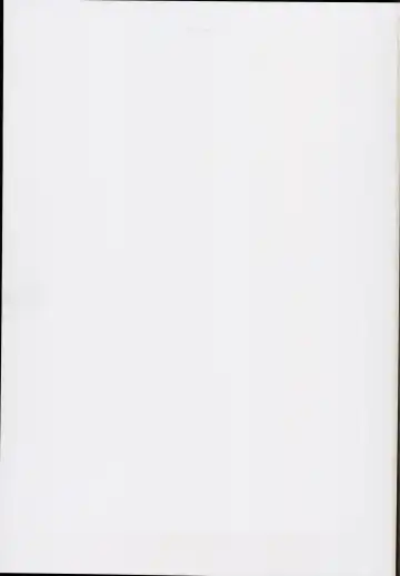 [Peso] Myourenji Saimin Gravure Satsueikai Nazrin Hen Fhentai - Page 23