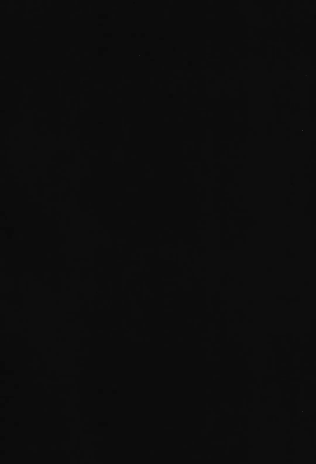 [Matsunaga Garana] Scathach Shishou wa Katai Yari ga Osuki Fhentai - Page 4