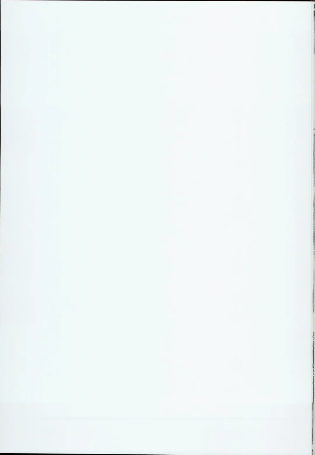 [Kouzmi] Vajra Inu Fhentai - Page 10