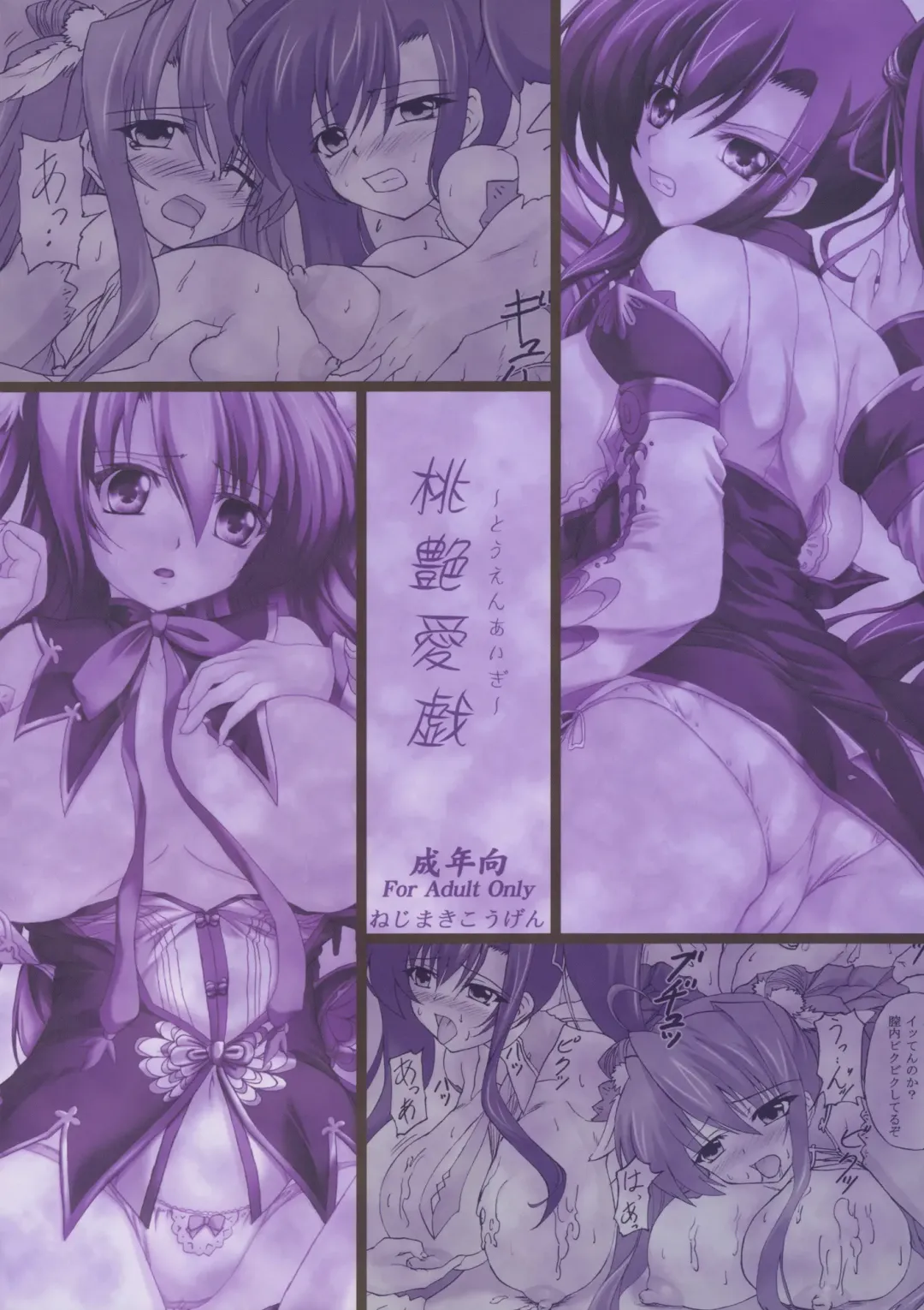 [Kirisawa Tokito] Touen Aigi Fhentai - Page 26