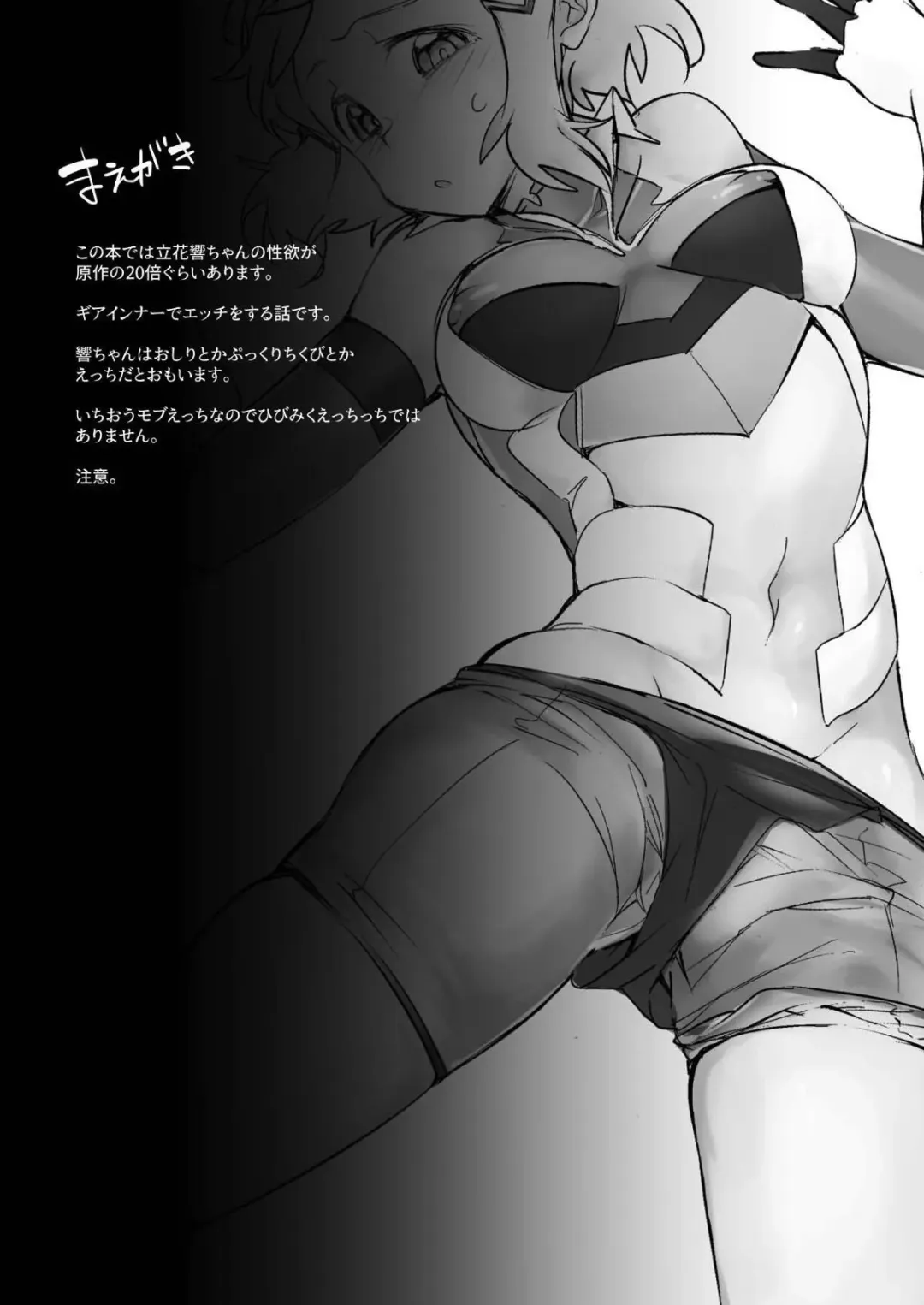 [Yokosima] Symphogear no Erohon Fhentai - Page 2