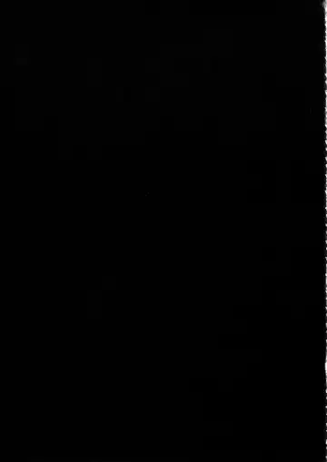 [Sian] Shinai Max Mattanashi! 4 Fhentai - Page 39