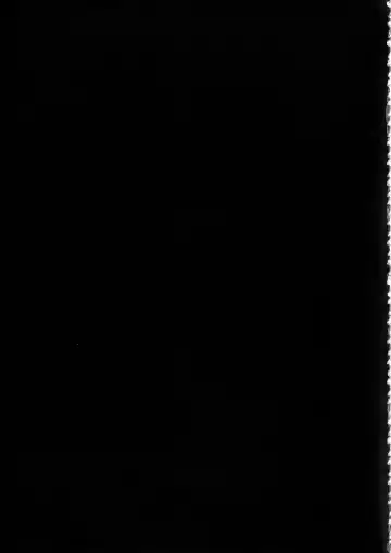 [Sian] Shinai Max Mattanashi! 4 Fhentai - Page 40