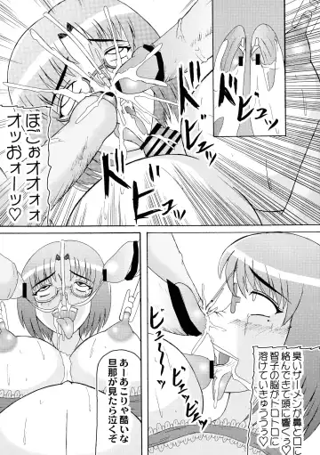 [Iwai Takeshi] Daraku Ninpu Tsuma 2 Fhentai - Page 11