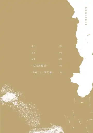 SM gokko Fhentai - Page 4