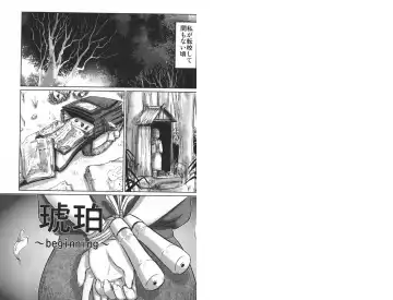 [Shinjima Saki] Doku Hime no Mitsu Fhentai - Page 4