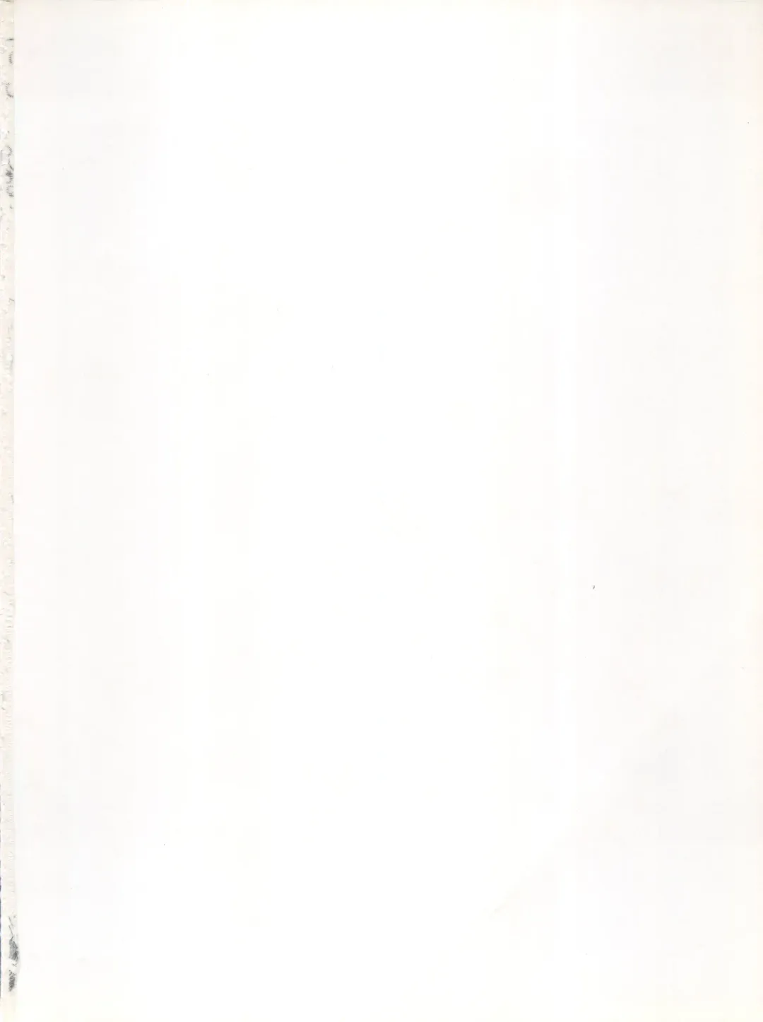 [Hibiki Seiya - Ogami Wolf - Ruuen Rouga] COCONUT MILK Fhentai - Page 2